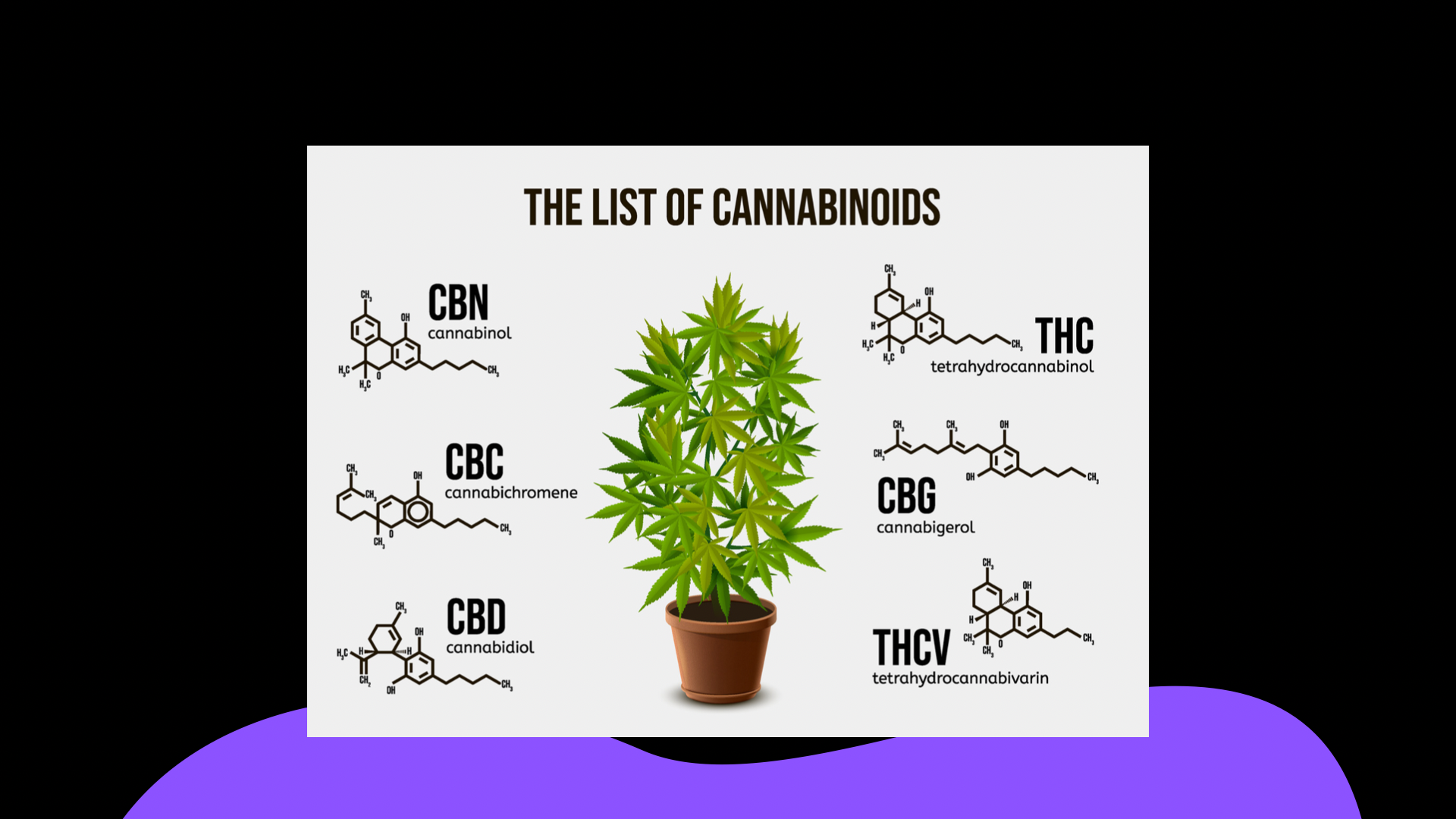 Science Redefines Potential Of Medical Use Cannabinoids CBDa & CBGa