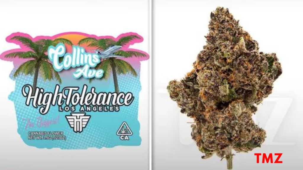 Rick ross Collins Ave 