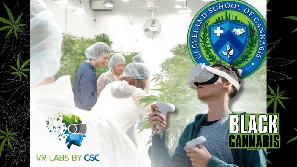 Pictured above: A graphic for Cleveland School of Cannabis' educational program, VR Labs