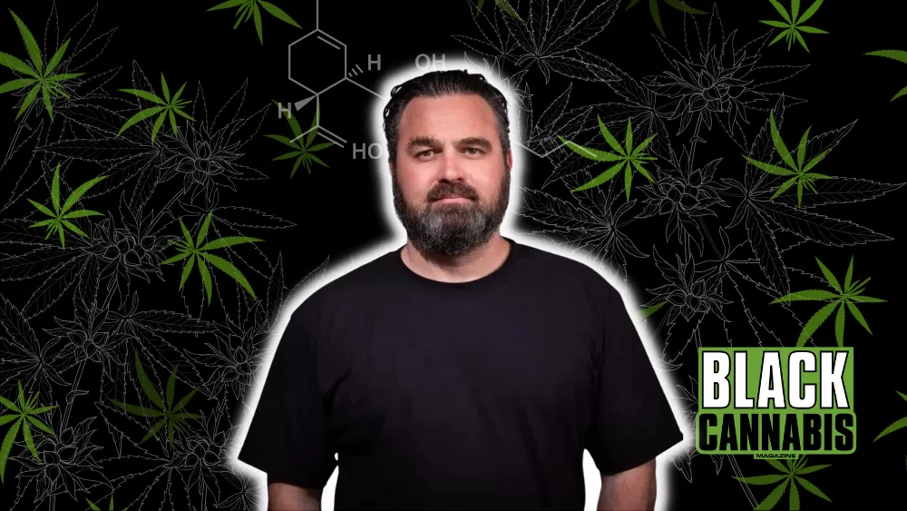 Catalyst vs Glasshouse Cannabis Lawsuit