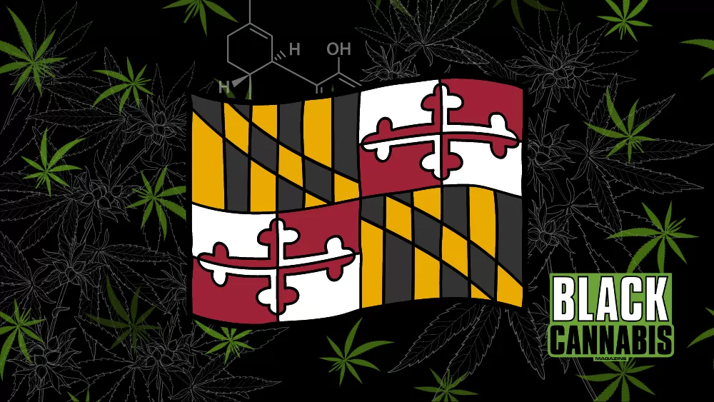 Understanding Maryland’s Marijuana Laws Post-July 1