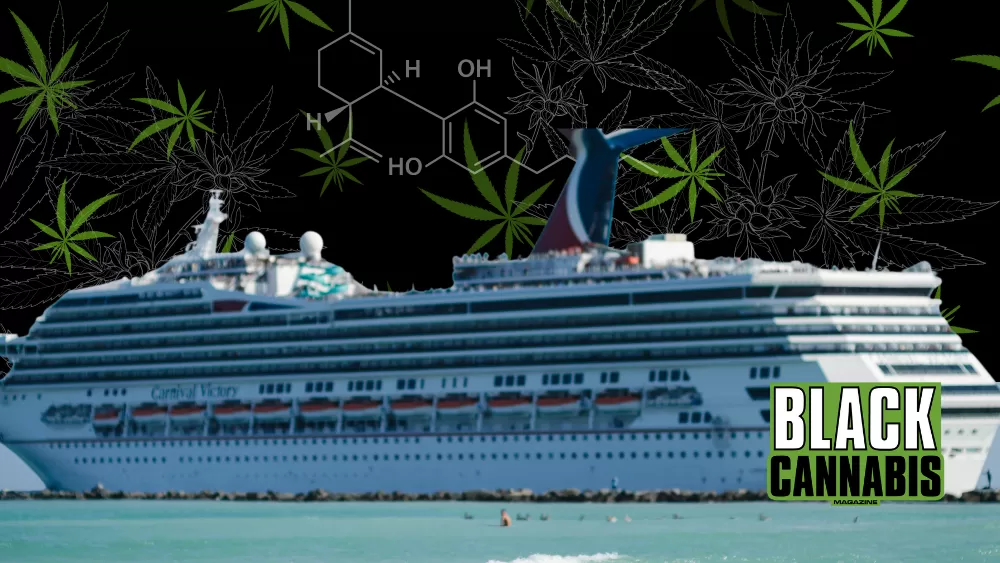 Drug Detection Dogs: Carnival Cruises’ Cannabis Strategy