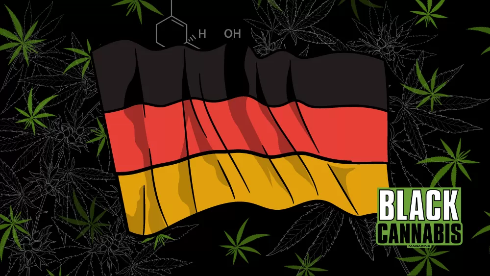 Germany Cannabis Legalization: Draft Law Published