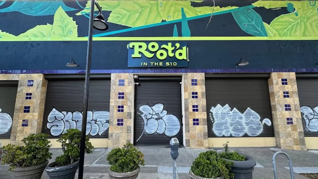 Root’d in the 510 Dispensary: Pioneering Equity in Oakland