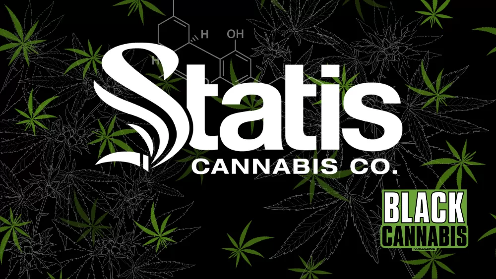 Bronx Opens First Legal Cannabis Store: ‘Statis’