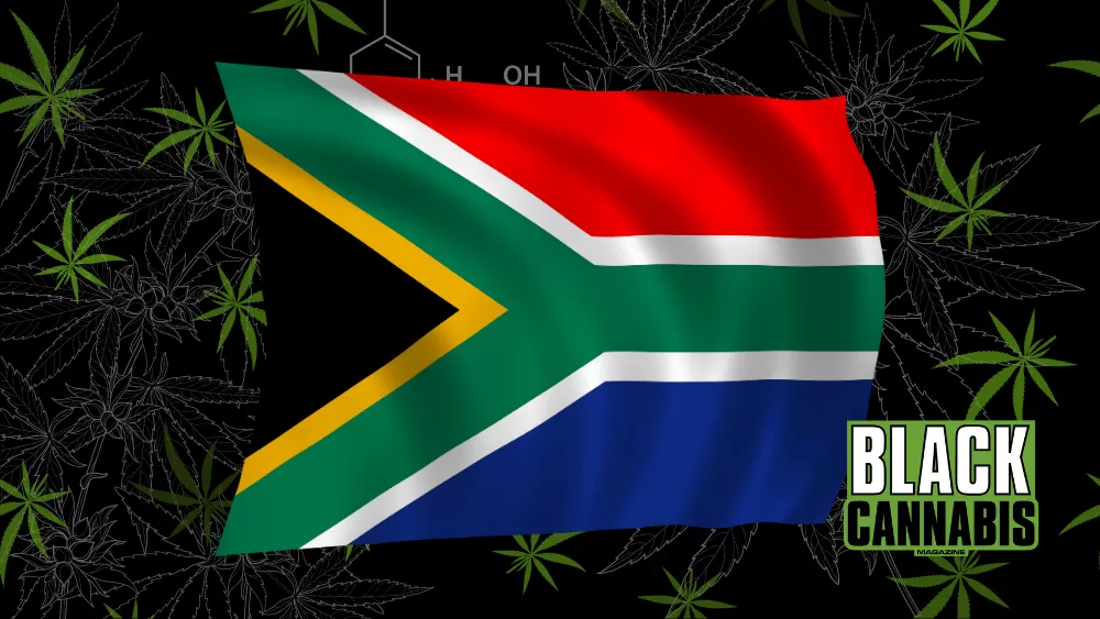 Experience Durban’s Premier Cannabis Expo for Just $7.87!