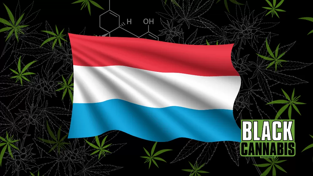 Luxembourg Legalizes Cannabis: A New Era Begins