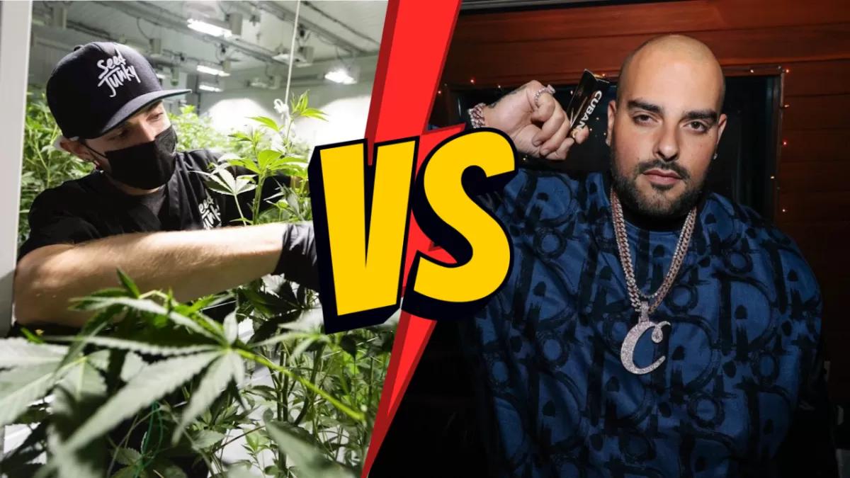 Seed Junky Sues Berner and Cookies For Breach Of Contract, Berner Responds