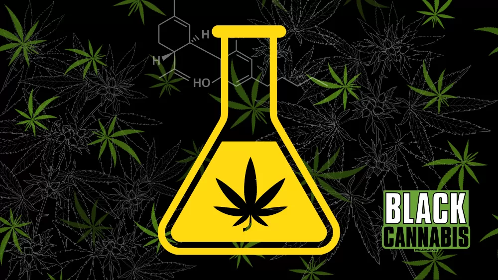 Verifying Cannabis Products in New York: A Look Inside Testing