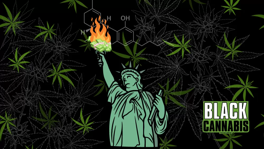 New York’s CAURD Licensing: Legal Hurdles Ahead