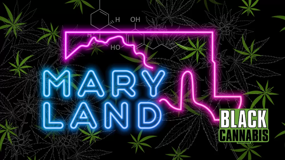 Maryland Marijuana Sales: Hitting $87 Million in July 2023