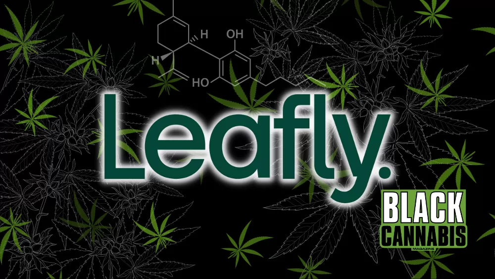 Online Cannabis Ordering: Florida Appeals Court Sides with Leafly