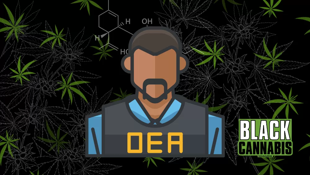DEA and Cannabis Reclassification: A Pivotal Moment