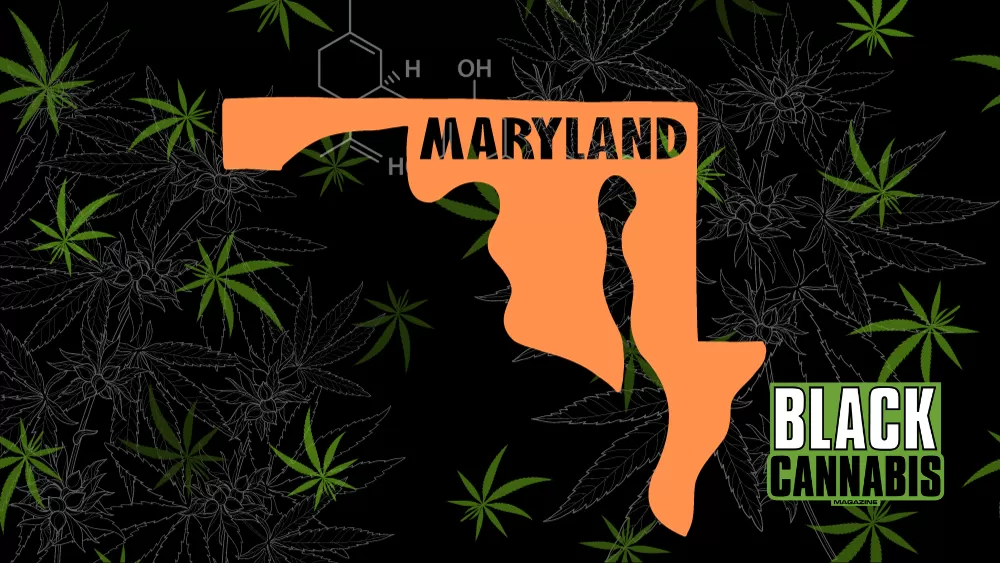 Maryland Opens Doors for Recreational Cannabis Businesses