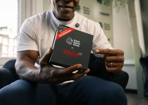 TYSON 2.0 & Royal Queen Seeds Release Jawbreaker Collector’s Box