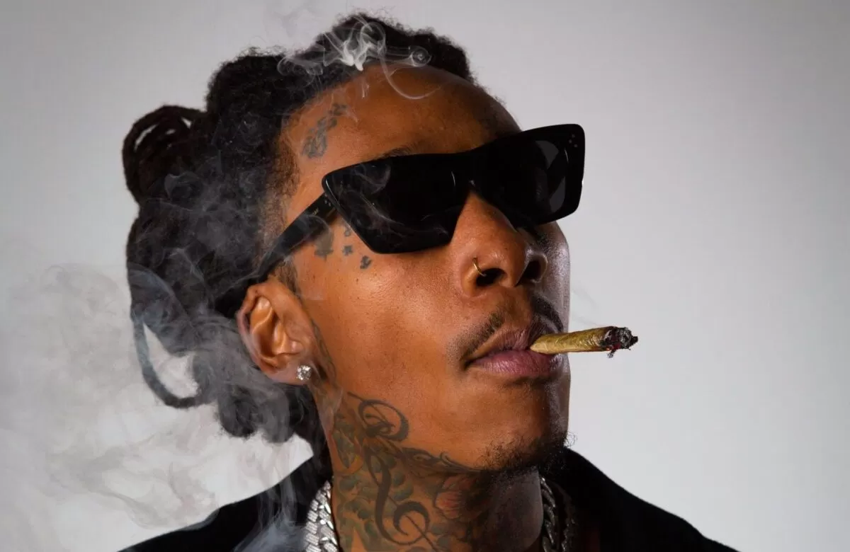 Top Black Celebrity-Involved Cannabis Brands of 2024