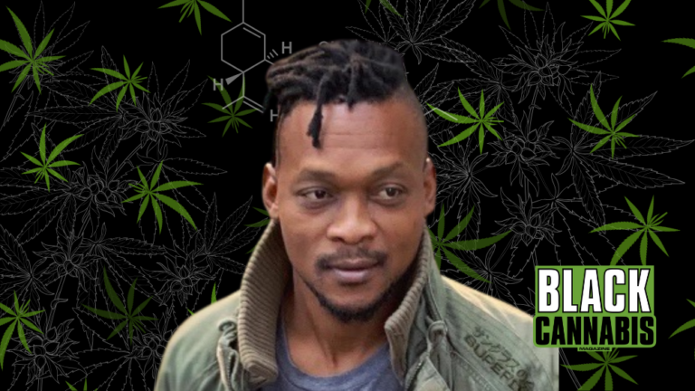 AfriCali Culture Blends African Roots, Music, and Cannabis