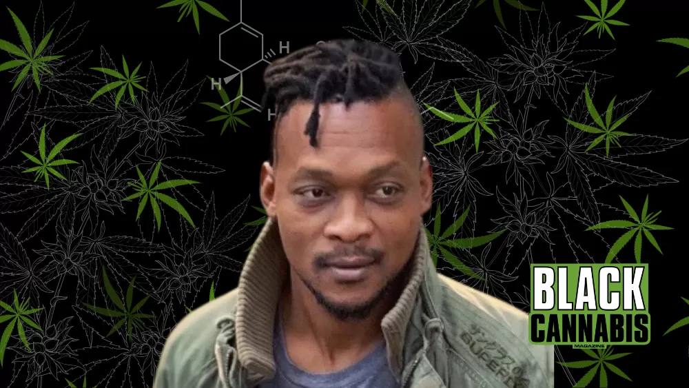 AfriCali Culture Blends African Roots, Music, and Cannabis