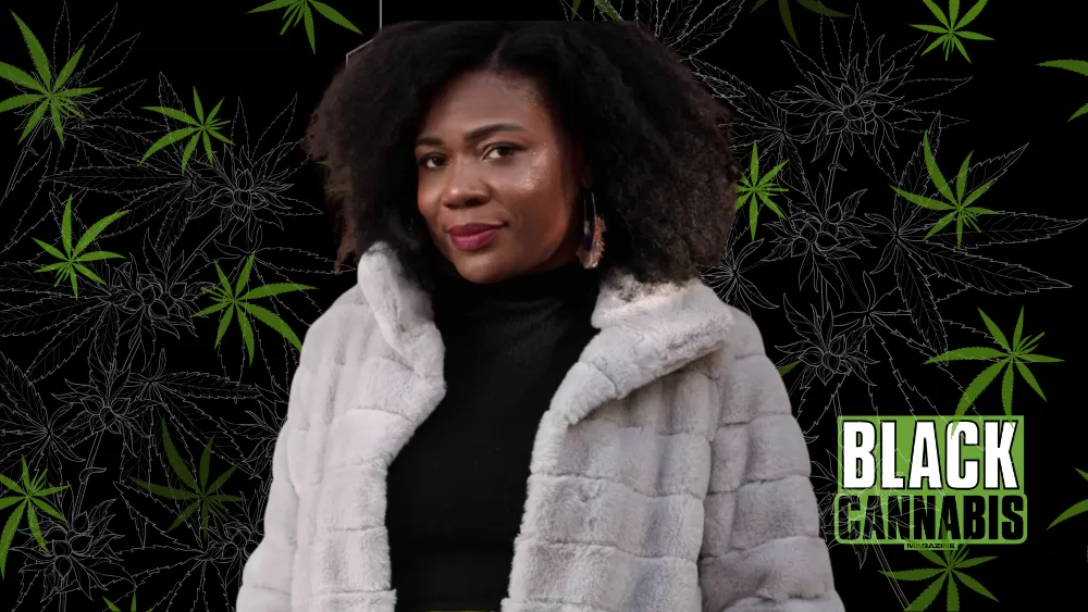 NYC Cannabis Director Resigns Amid Harassment Claims