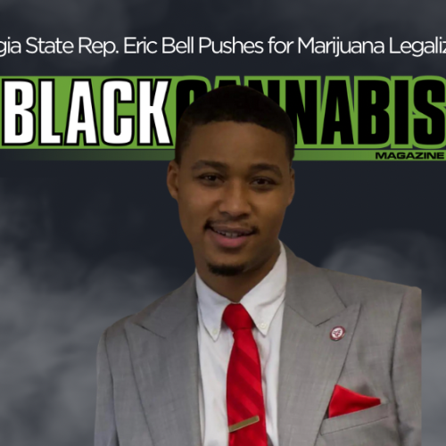 Georgia State Rep. Eric Bell Pushes for Marijuana Legalization