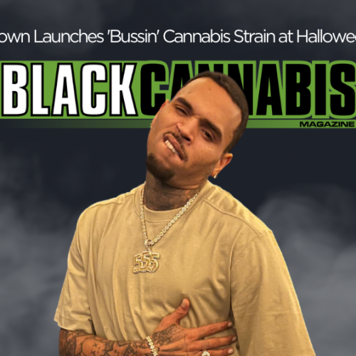 Chris Brown Launches ‘Bussin’ Cannabis Strain at Halloween Party