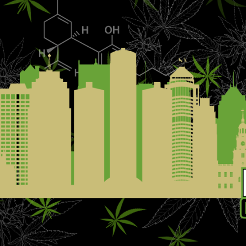 Detroit’s Recreational Marijuana Licenses: Round Two Begins