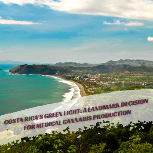 Costa Rica’s Green Light: A Landmark Decision for Medical Cannabis Production