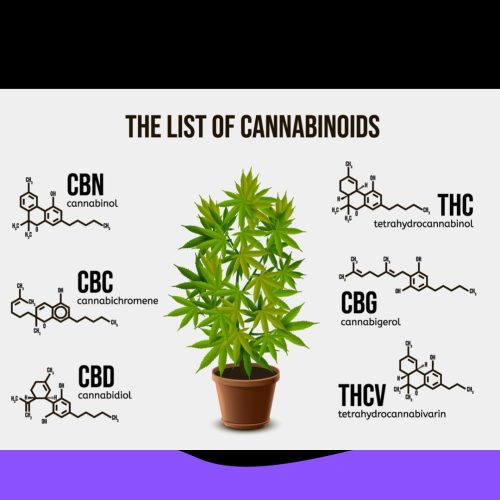 Science Redefines Potential of Medical Use Cannabinoids CBDa & CBGa