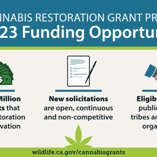 $20 Million in Grant Funding Available for Cannabis Restoration and Environmental Conservation Projects in California