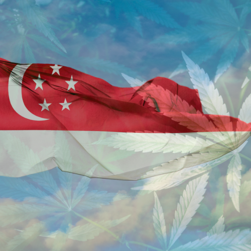 Singapore’s Controversial Cannabis Execution: A Cry for Clemency and Retrial