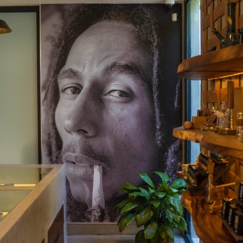Experience Authentic Cannabis at Bob Marley’s Former Home