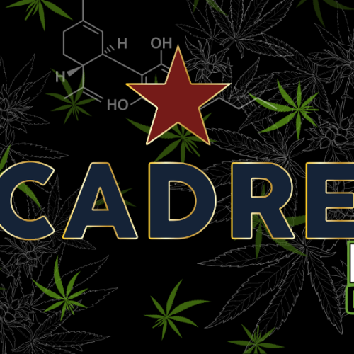 Cadre’s LA Dispensary: New Benchmark in Cannabis Social Equity