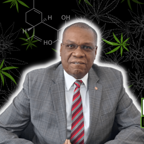 St. Louis NAACP Urges Missouri: Reform Marijuana License Map, Addressing Impact on Black Communities