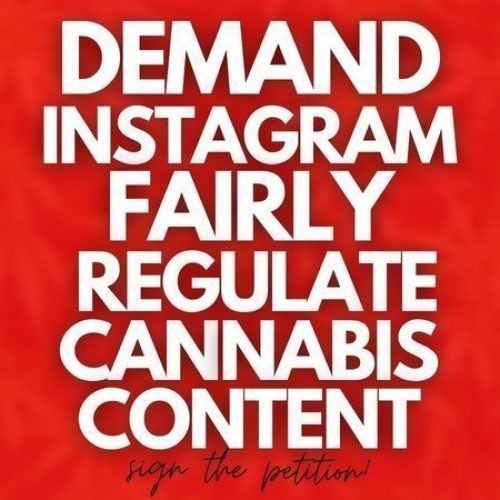WeedTube Starts Petition on Change.org Urging Instagram to Treat Cannabis Companies and Pages Fairly