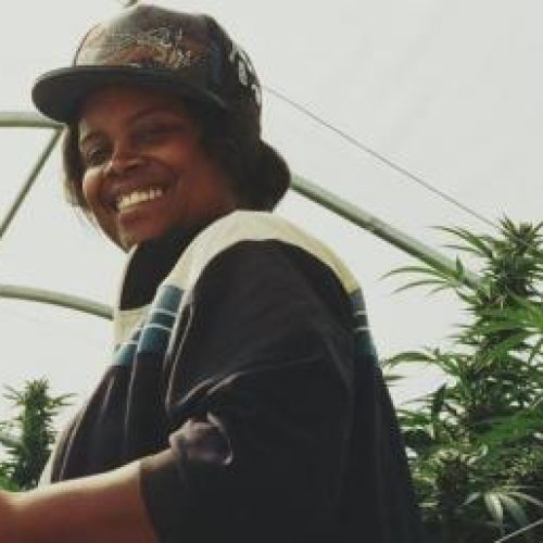 Social Equity Kitchen for Infused Cannabis Entrepreneurs Launched by Breeze Distro CEO