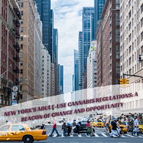 New York’s Updates Adult-Use Cannabis Regulations