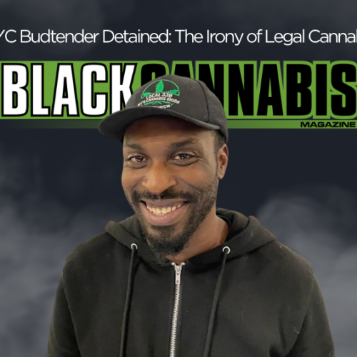 NYC Budtender Detained: The Irony of Legal Cannabis