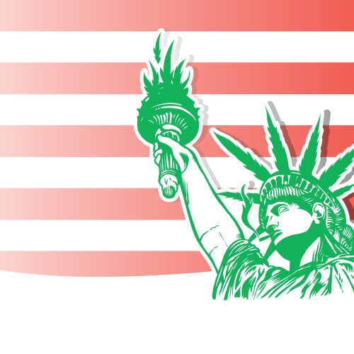 New York Offers Promising Future for Social Equity Cannabis Entrepreneurs
