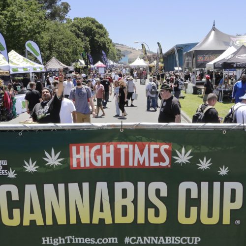 Enthusiasts flock to the High Times Cannabis Cup at the Sonoma County Fairgrounds in Santa Rosa, Calif. Saturday, June 3, 2017. (James Cacciatore/Special to the Marin Independent Journal)