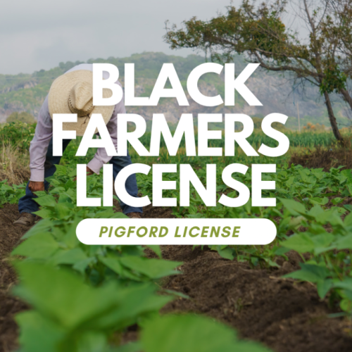 Moton Hopkins’ Heirs: Battling for a FL Medical-Marijuana License