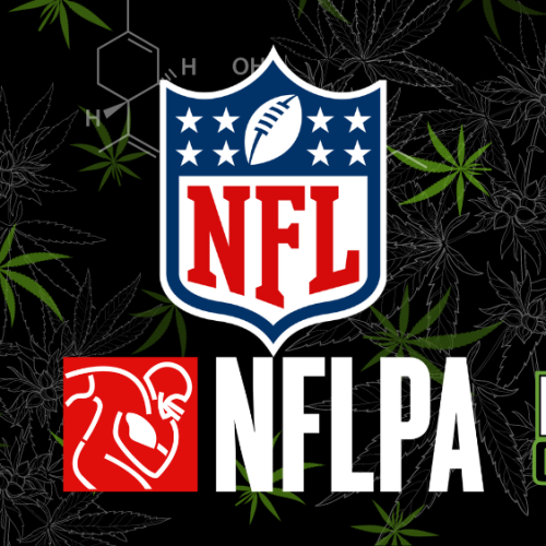 NFL CBD Pain Management: League Funds Innovative Studies