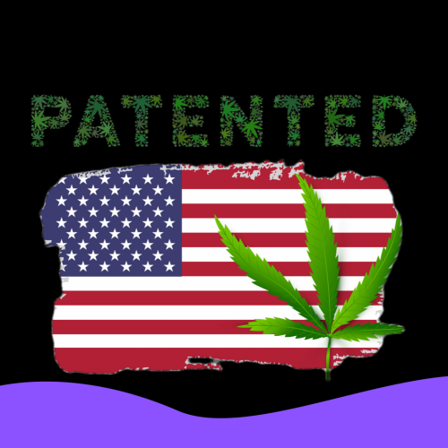 Patents Prove US Government Prepared for Medical Cannabis Use Even as It Fights Legalization