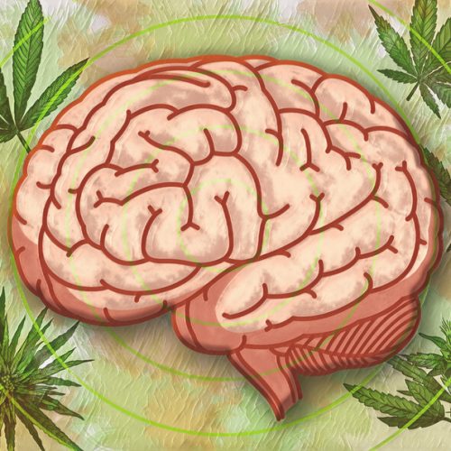 (Illustration by Michael S. Helfenbein)