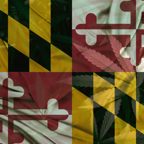Maryland Gears Up for Recreational Cannabis Sales: Taxation, Equity, and Market Launch Insights