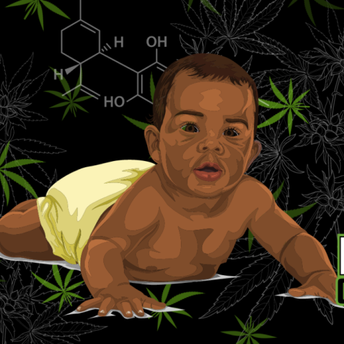 Legal Marijuana Use and Child Custody: A Controversial Case in New York
