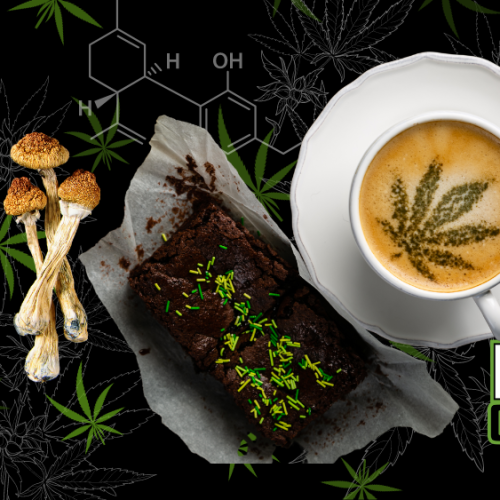 CA Cannabis Cafes and Psychedelics Bills Await Newsom’s Nod