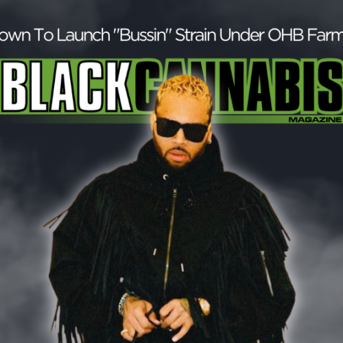 Chris Brown and Originals To Launch “Bussin” Strain Under OHB Farms Brand