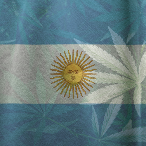 The Environmental Impact of Cannabis Production in Argentina: Exploring Risks and Benefits