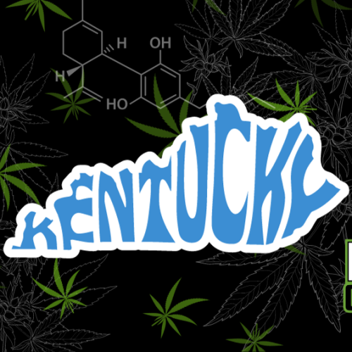 Unpacking Two Decades of Cannabis Criminalization in Kentucky