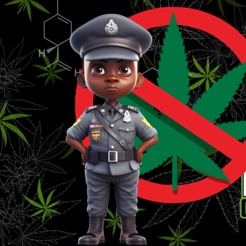 Why De-Scheduling Cannabis Is the Only Path Forward